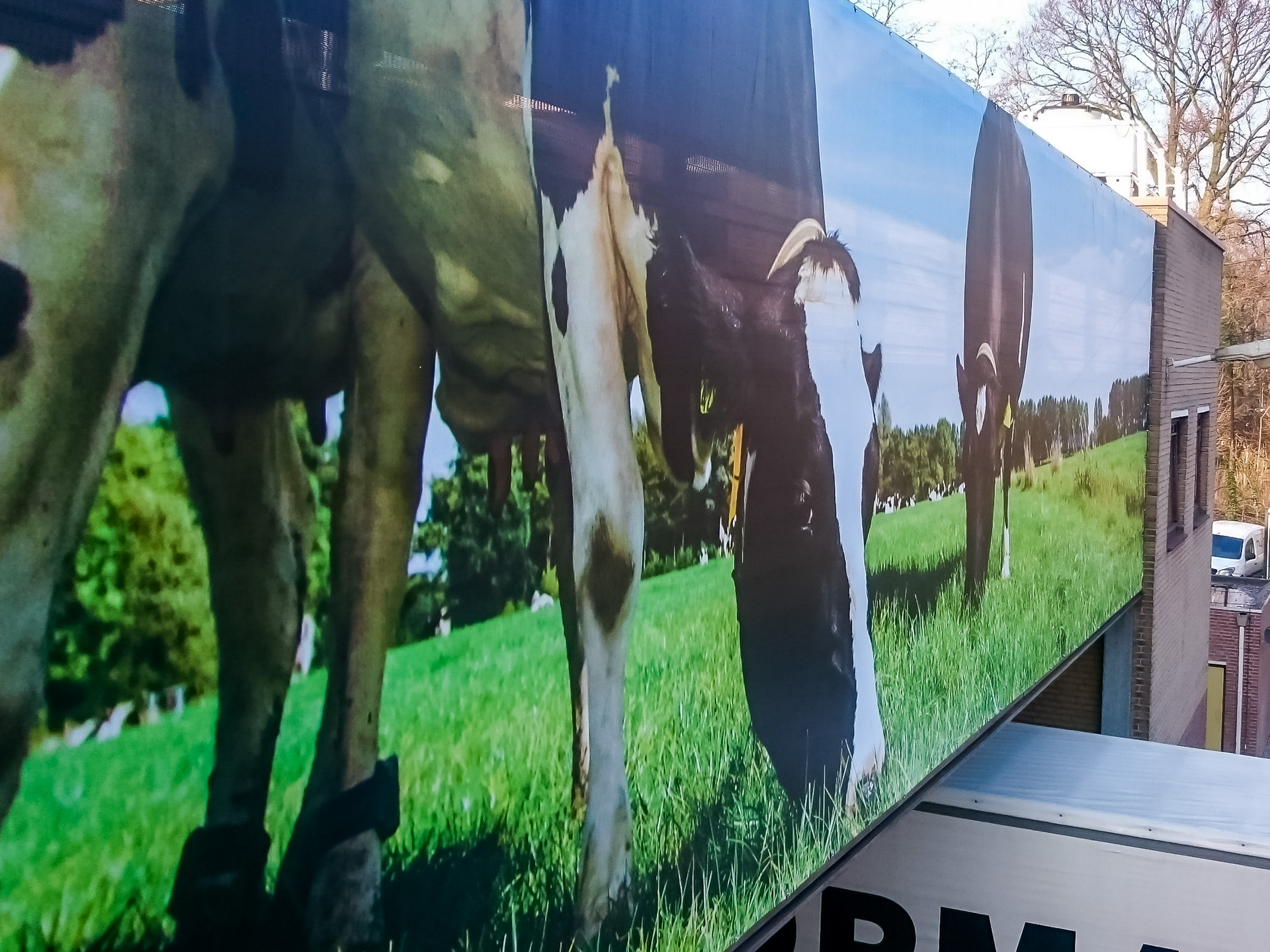 Spandoek, Meshdoek, Overijssel, Print