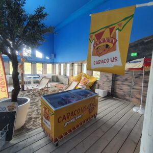 aankleding, prints, beachflags, zitzak, wrapping, bewegwijzering, reclamemontage